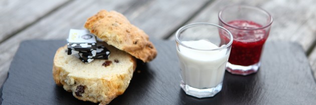 Everyday Recipe – Homemade Fruit Scones